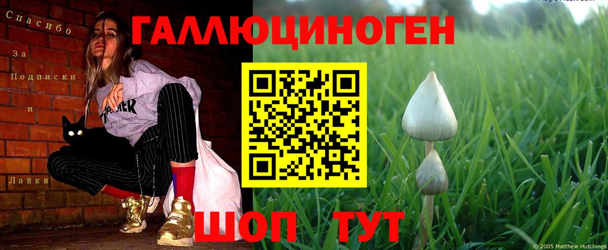 Новый Уренгой  Псилоцибиновые грибы Cubensis  Вход с VPN 