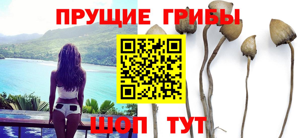 Галлюциногенные грибы ЛСД Новый Уренгой
